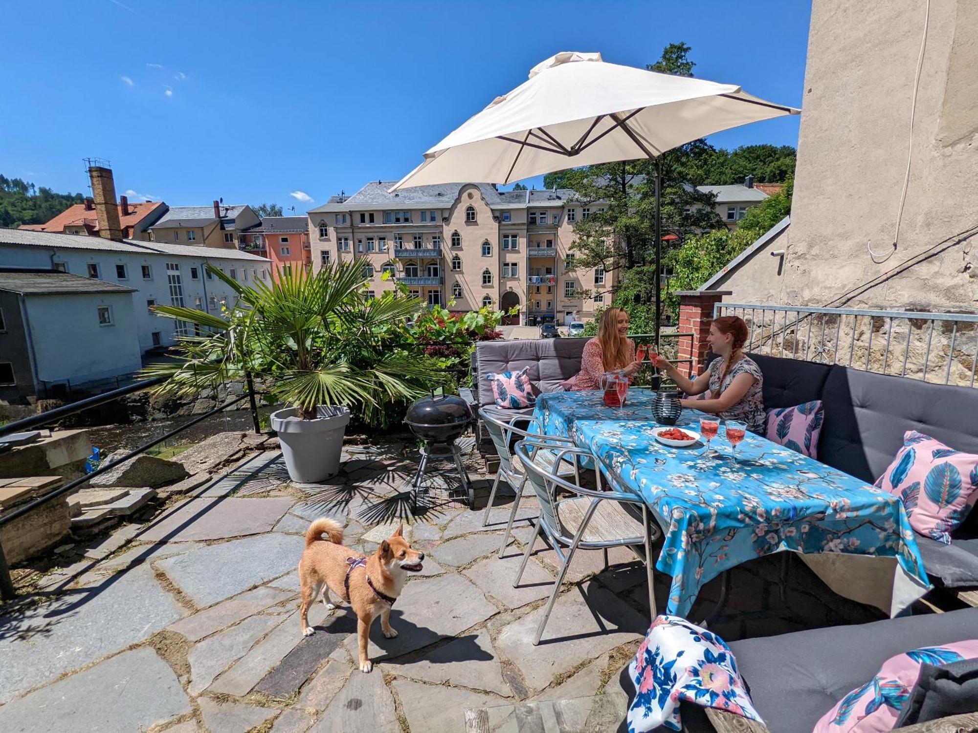 F3 Urlaubsmagie - Pool, Garten & Terrasse - 4P Sebnitz Exterior photo