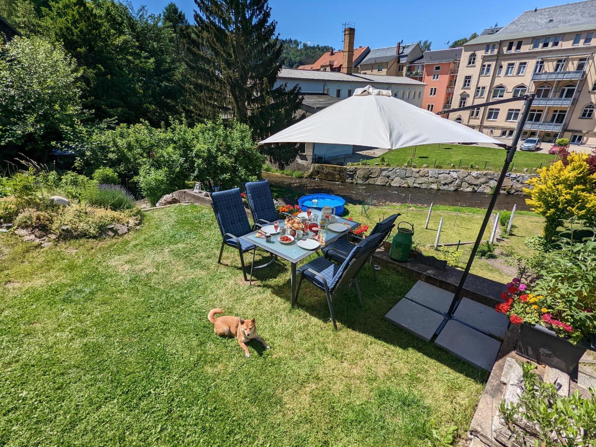 F3 Urlaubsmagie - Pool, Garten & Terrasse - 4P Sebnitz Exterior photo