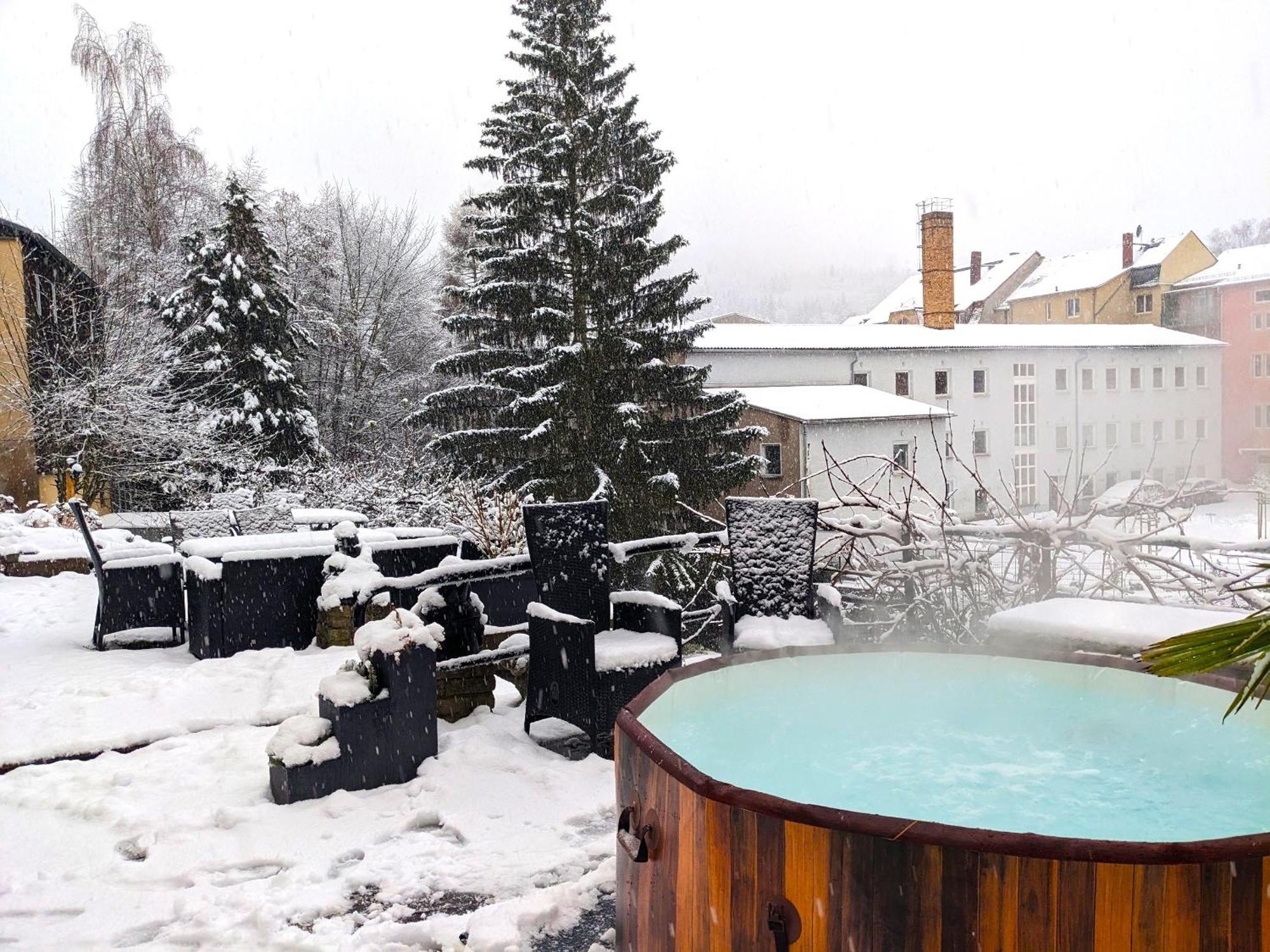 F3 Urlaubsmagie - Pool, Garten & Terrasse - 4P Sebnitz Exterior photo