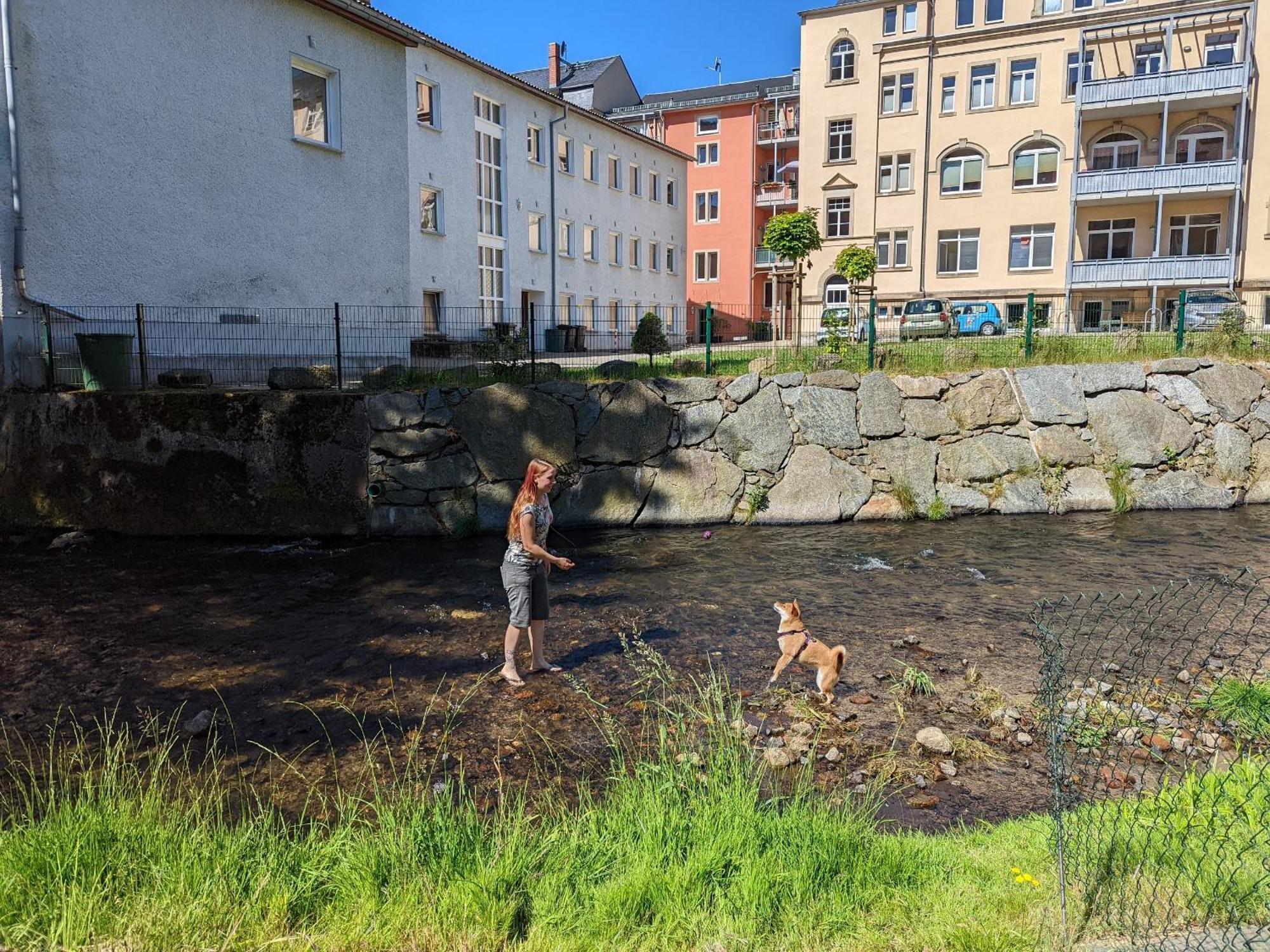 F3 Urlaubsmagie - Pool, Garten & Terrasse - 4P Sebnitz Exterior photo