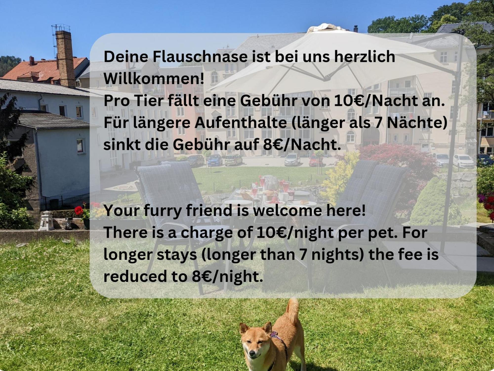 F3 Urlaubsmagie - Pool, Garten & Terrasse - 4P Sebnitz Exterior photo